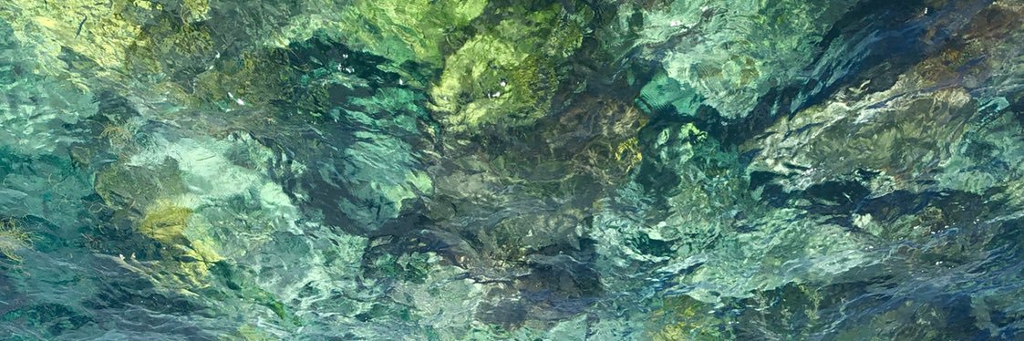yo__nelly's profile banner image
