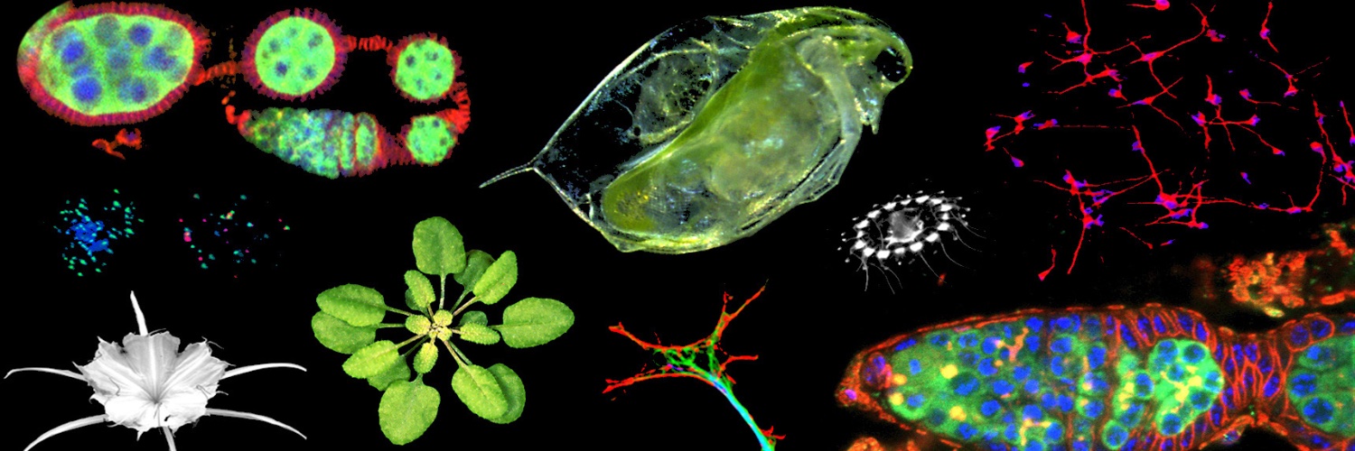 UofSC Biological Sciences banner