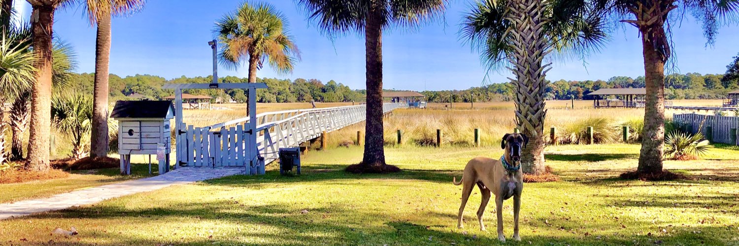 Aaron Traywick banner