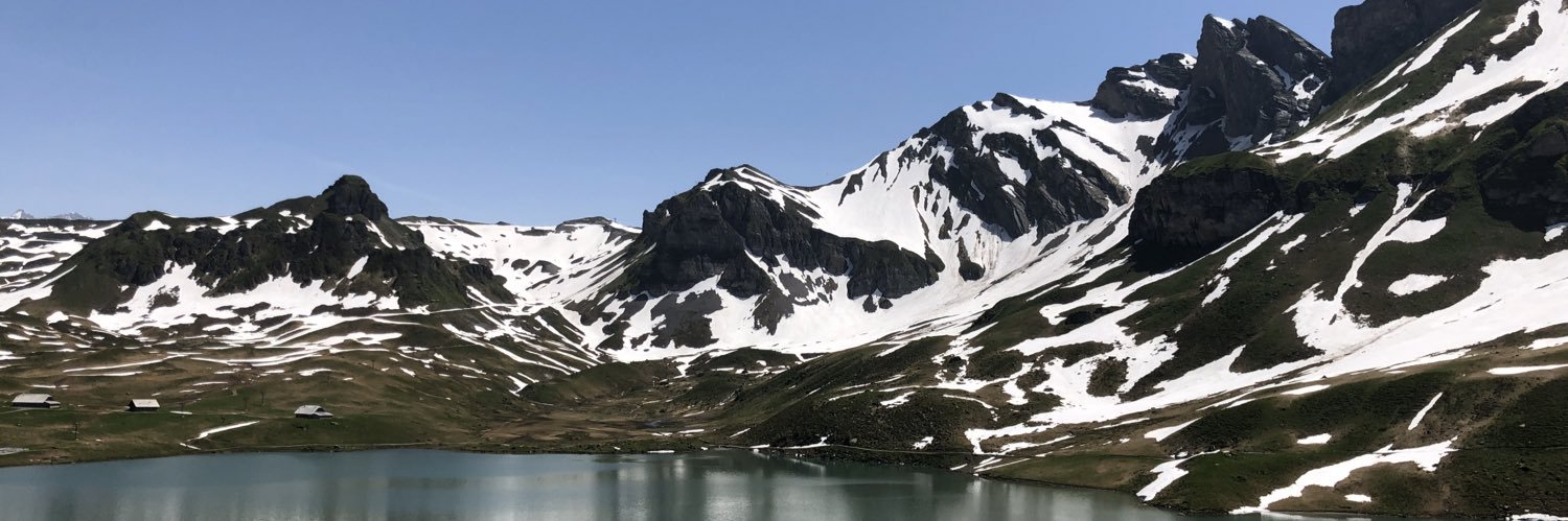 Bernat Requesens banner