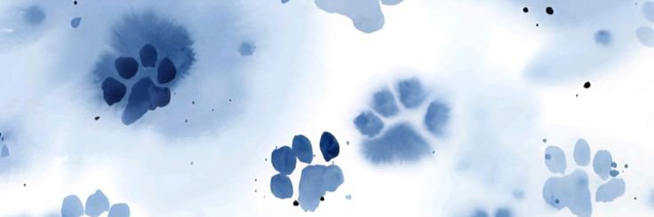 D. 𐙚nands⁷ banner
