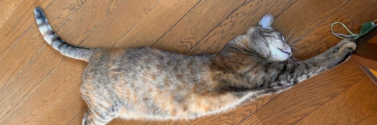 RYU_BSC@牛追い人 banner