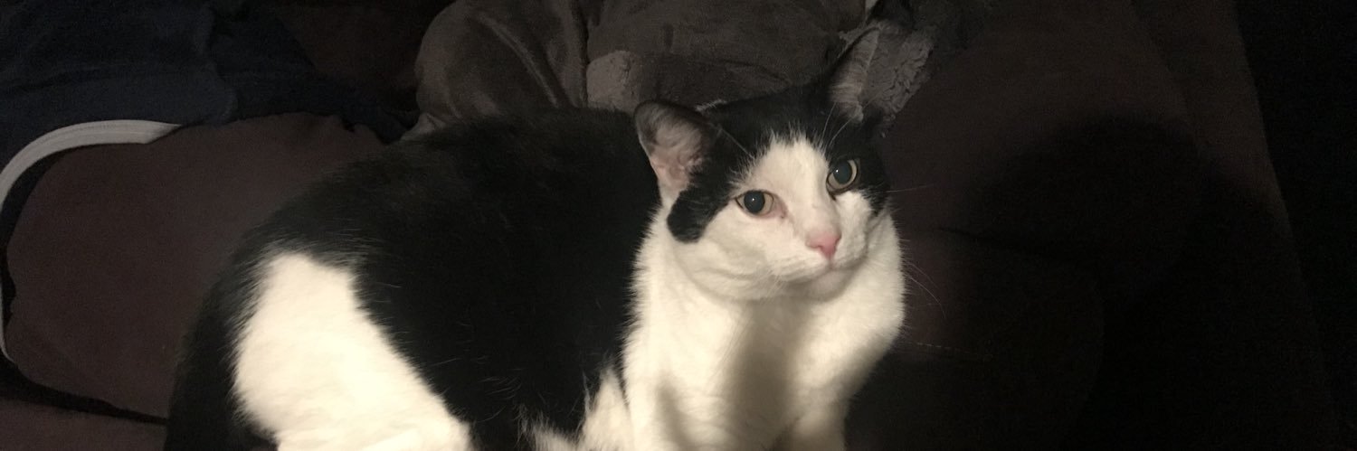 WhatTheElle_'s profile banner image