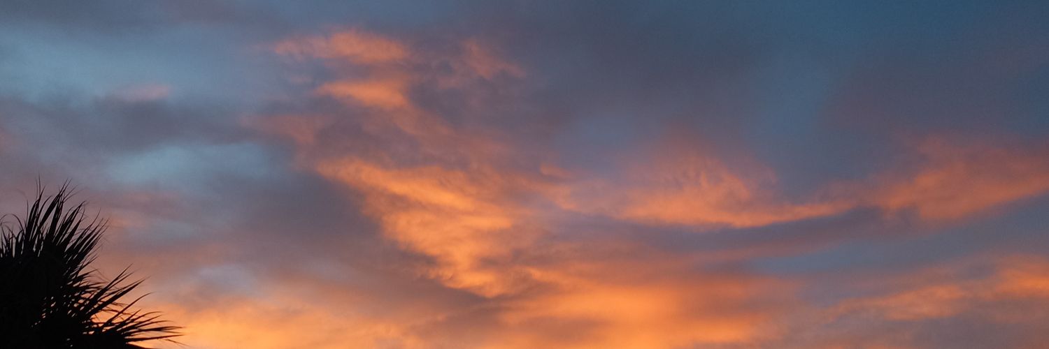 maluigom's profile banner image
