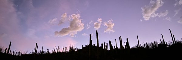 homineenominee Profile Banner