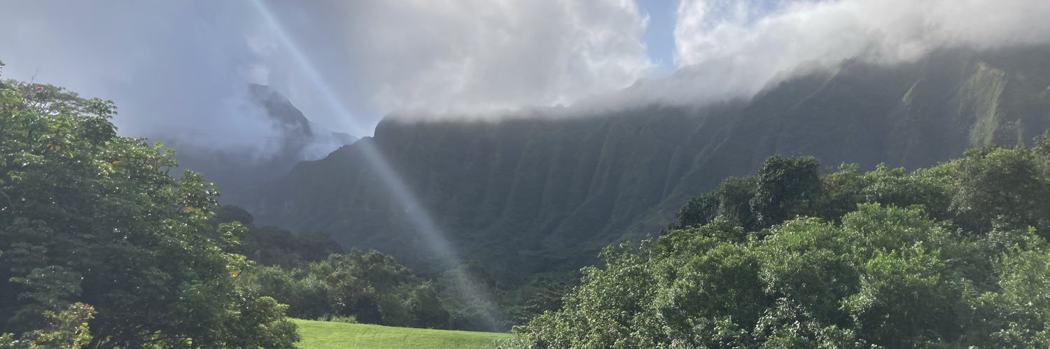 Dylan Williams banner