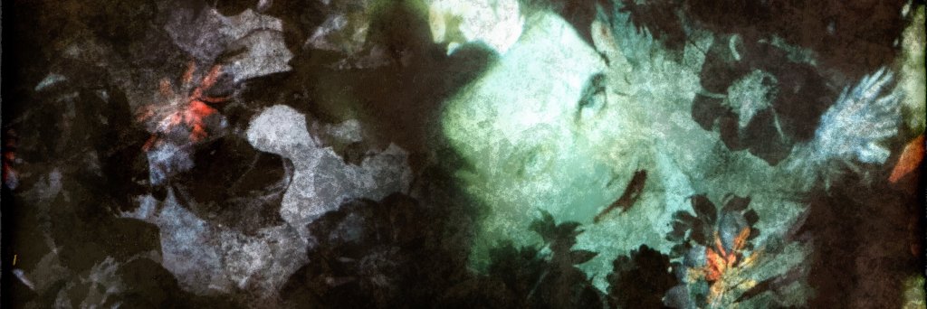 MaxDavidson91's profile banner image