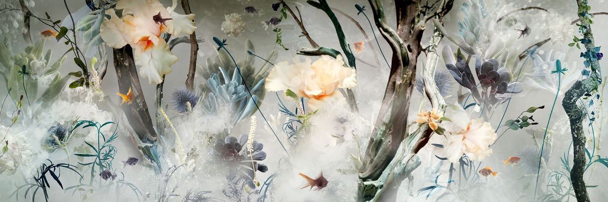 AyaIsabel's profile banner image
