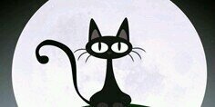 NavaVelez's profile banner image
