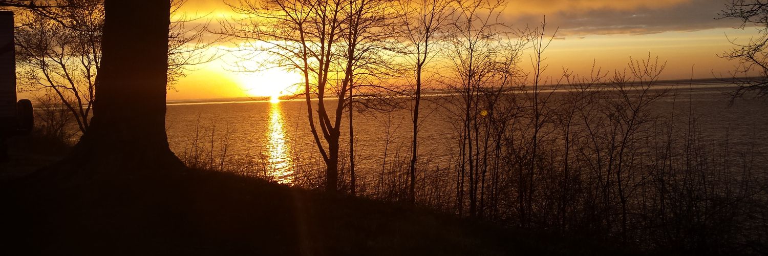 slf2much4you's profile banner image