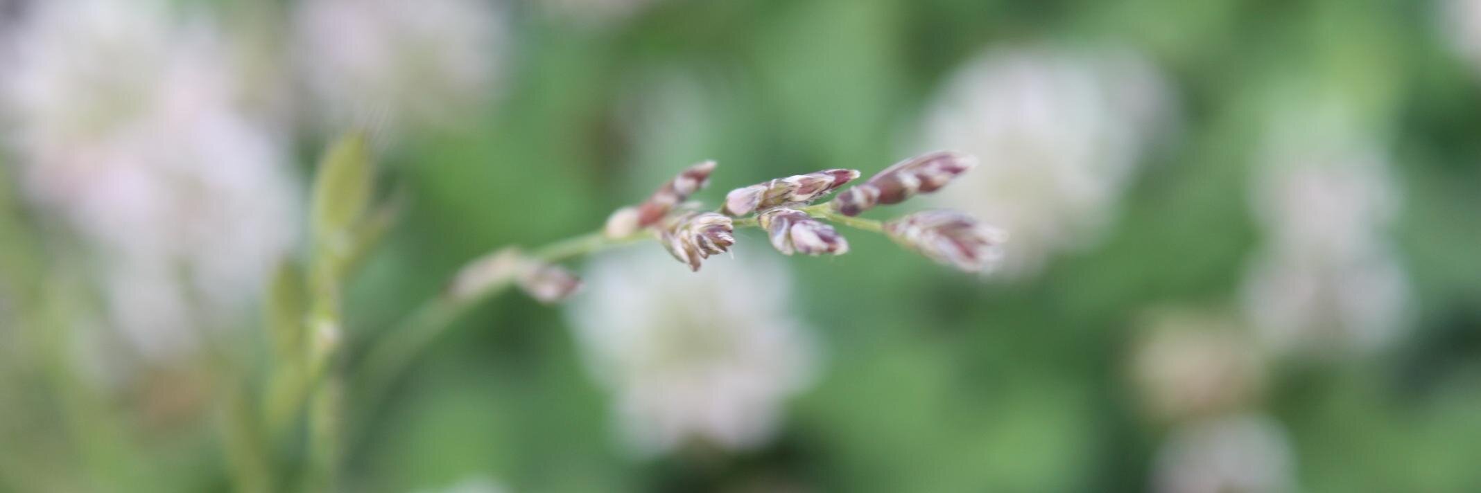 neverending_why's profile banner image