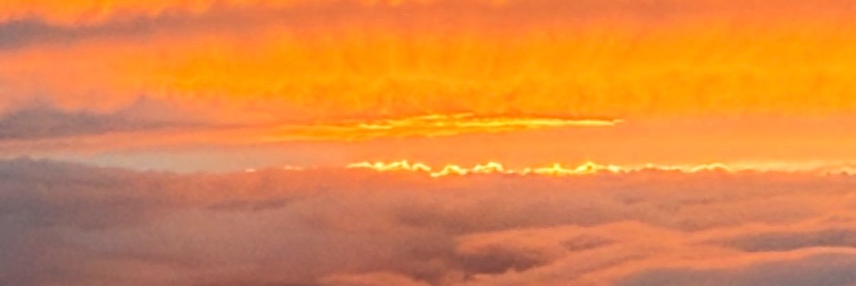 MatthewCarrell's profile banner image