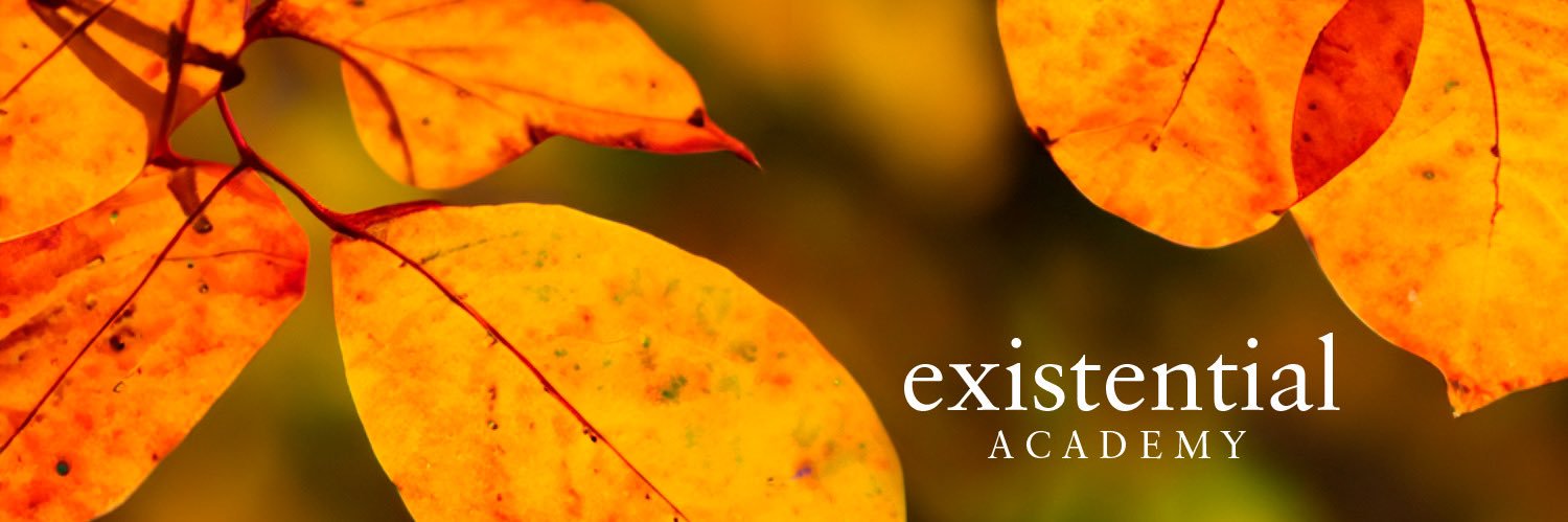 EXISTENTIAL ACADEMY banner