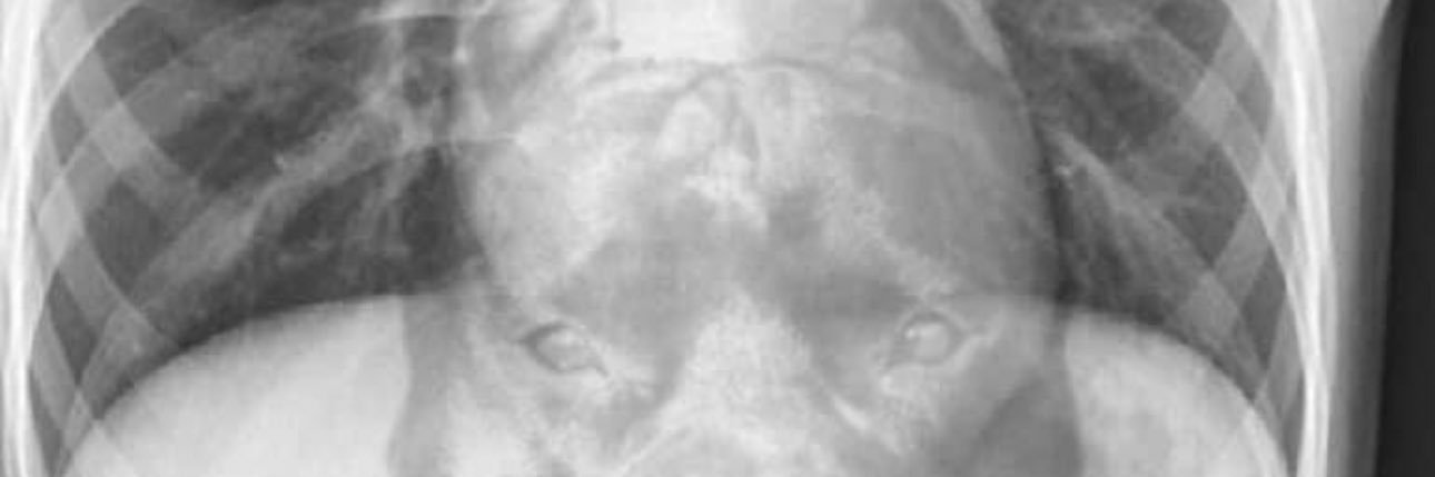 logjam92's profile banner image