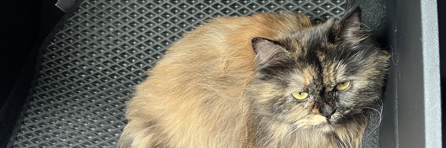 Ysri_Shmsddin 🇲🇾 banner