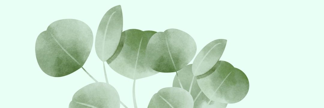 NƎWᴚ∀Ͻ🏳️‍🌈 banner