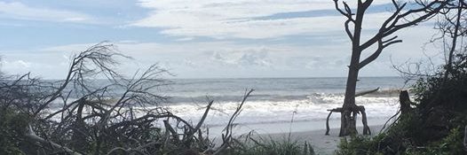 Jennifer 🎤 banner