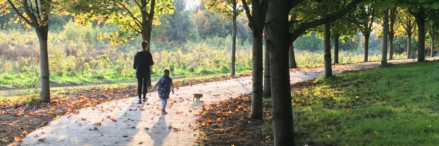 Cork County Council banner