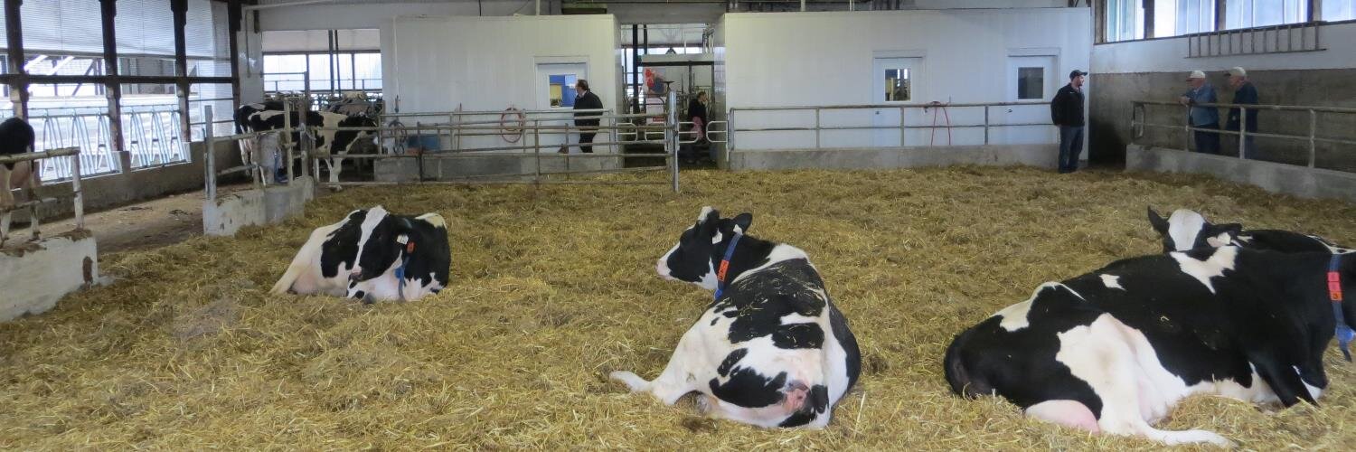 PrecisionDairy's profile banner image