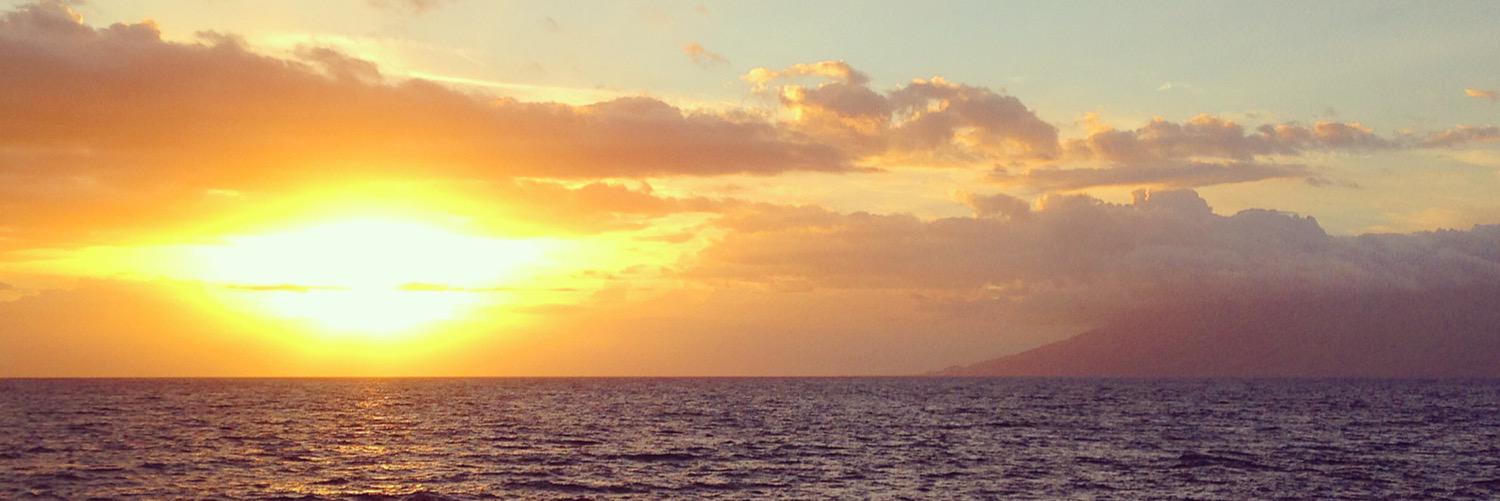 Ariel_Hooper's profile banner image