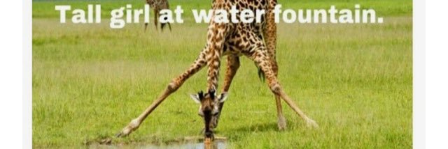 GotDemTallProbs's profile banner image