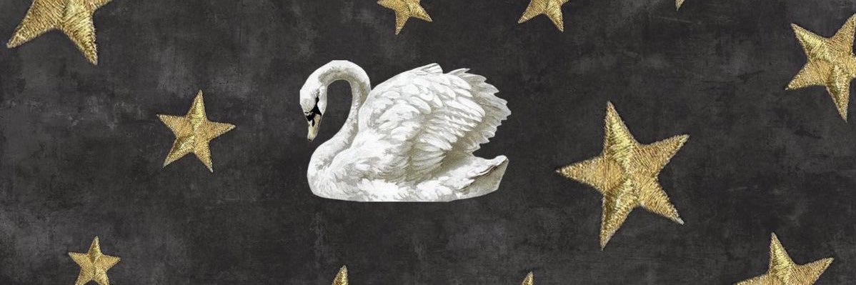 solciles_'s profile banner image