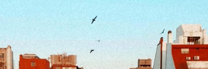 Simnrodrigues1's profile banner image