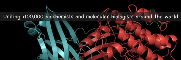 iubmb Profile Banner