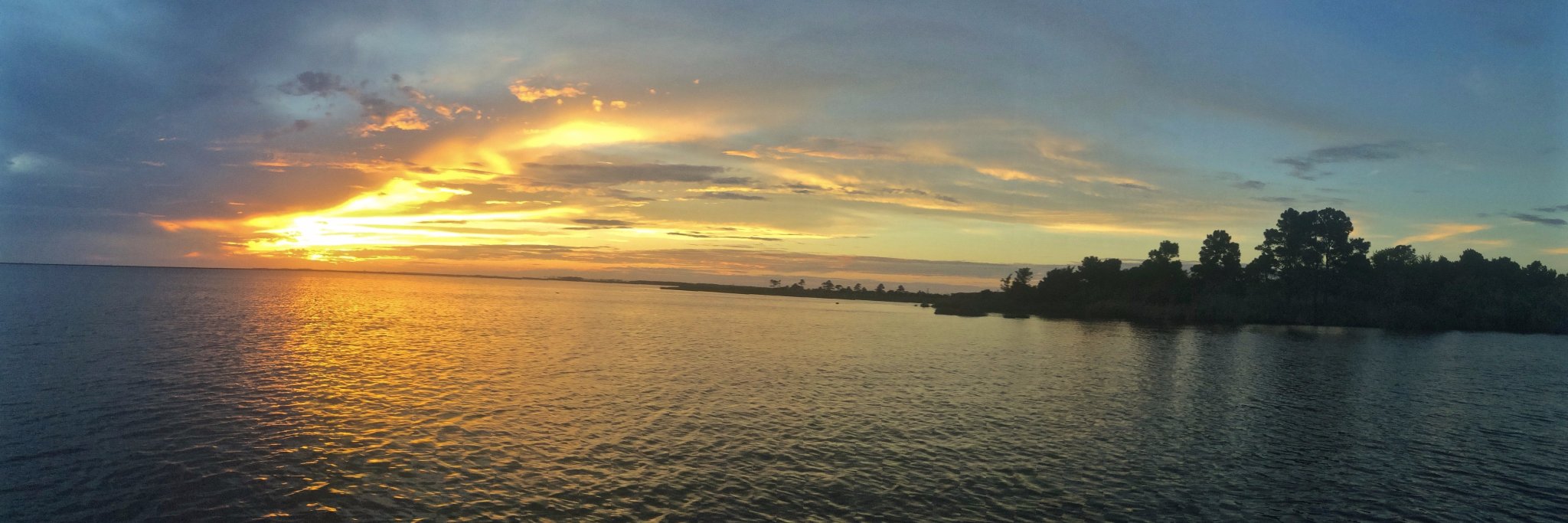 Estuarine Erin banner