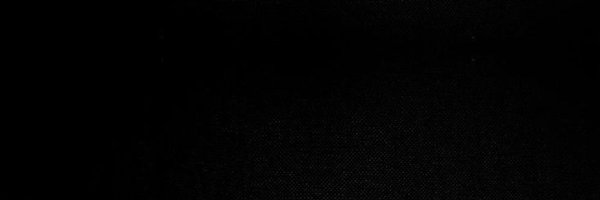 trevschan2 Profile Banner