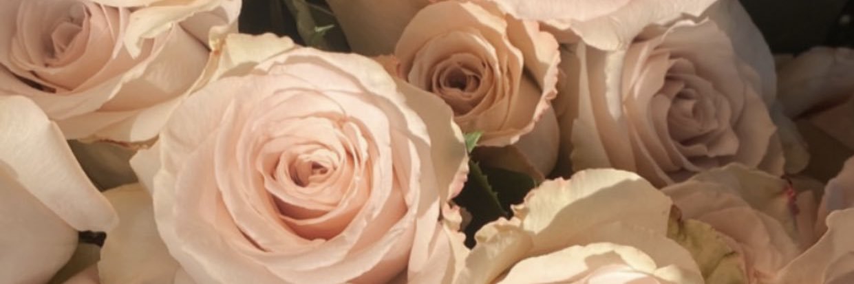 jacqrmzm's profile banner image