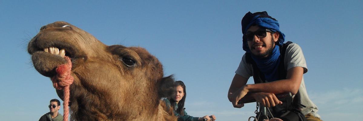 matteuscom2t's profile banner image
