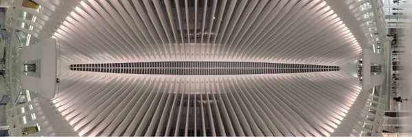 TheMartinPerry Profile Banner