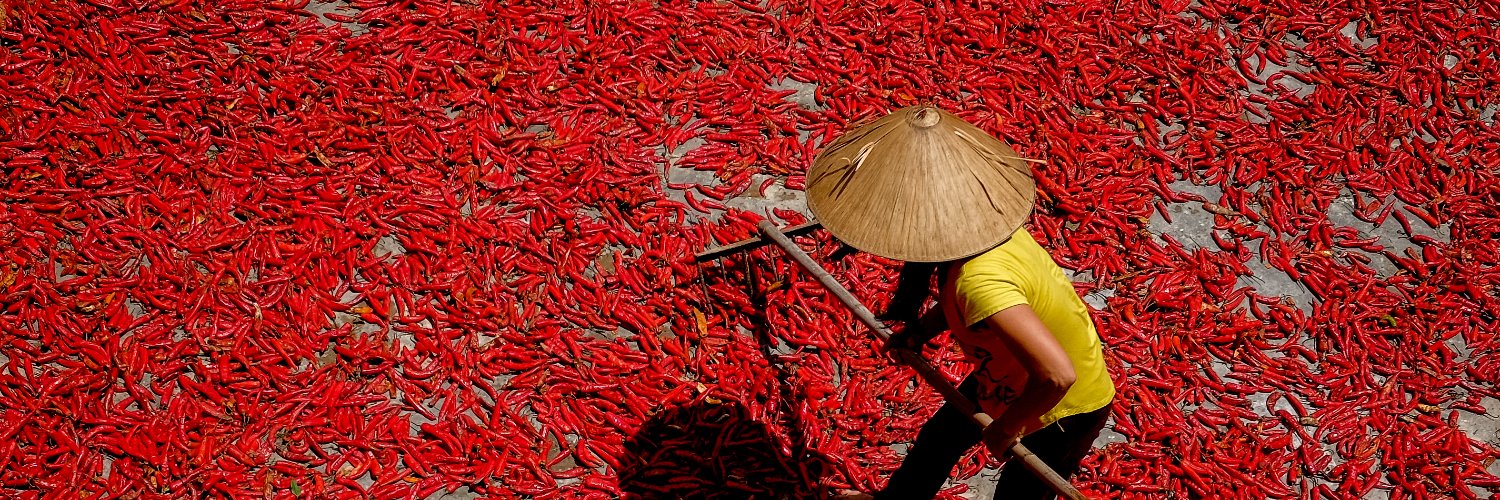 Global Development Institute banner