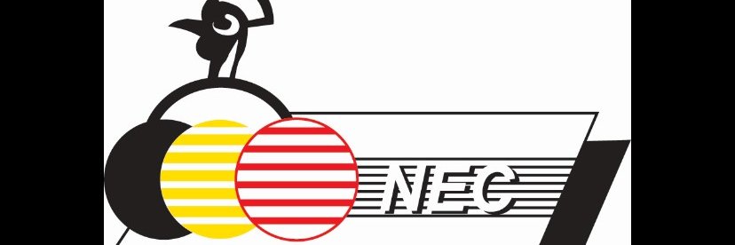 NATIONAL ENTERPRISE CORPORATION's banner