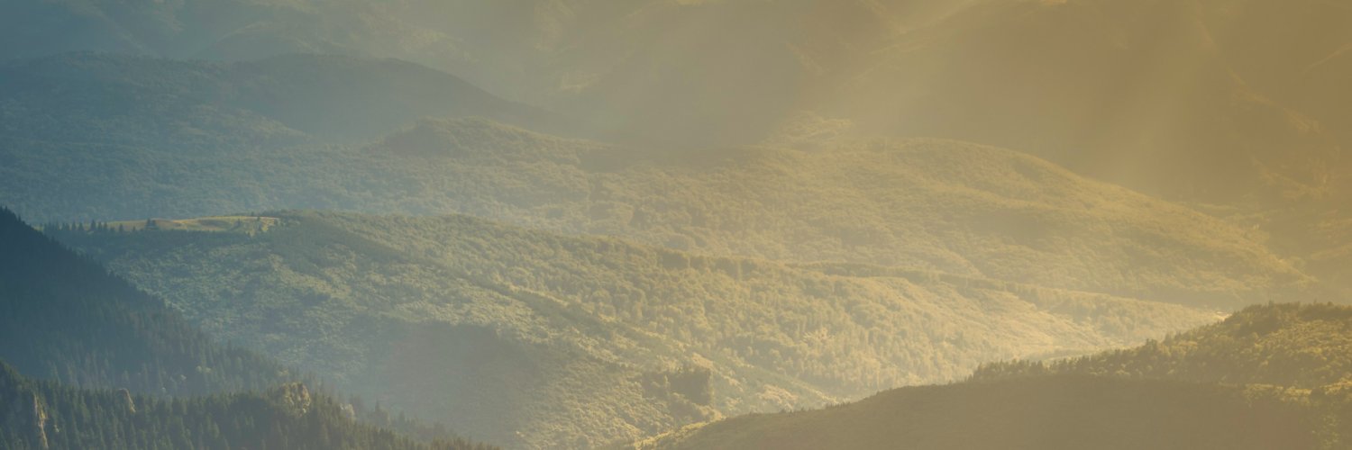Romee Panchal's banner