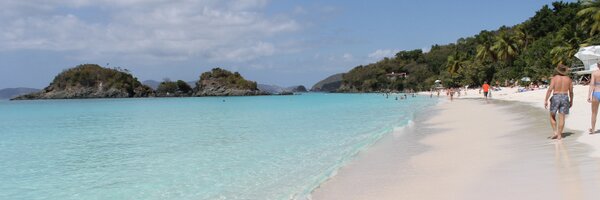 screenwriter4u Profile Banner