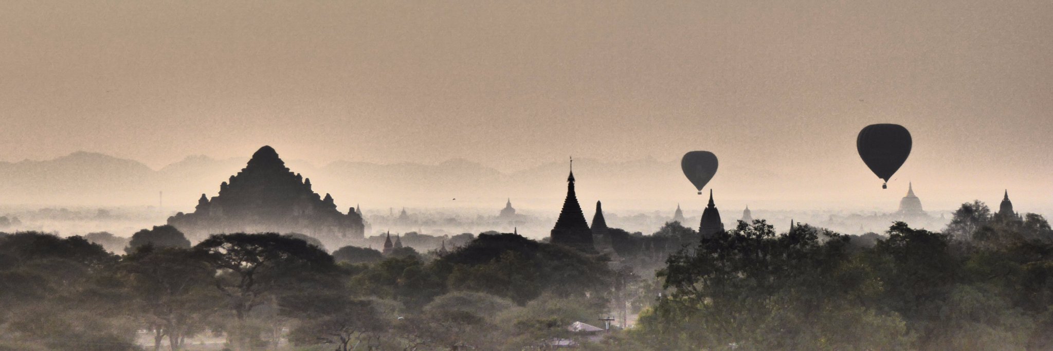 Brenda Castles 🌏 banner