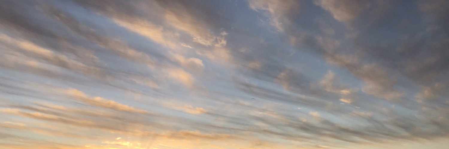janzu_'s profile banner image