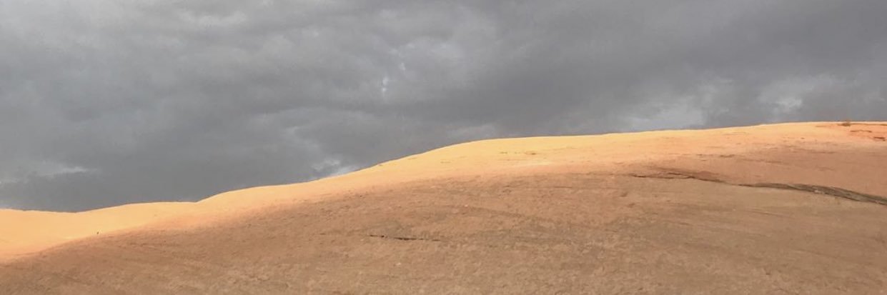 EllieAndersen19's profile banner image