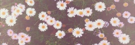 juu__g's profile banner image