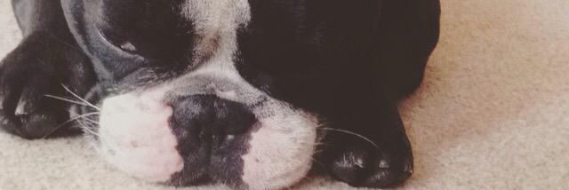 ❥ banner