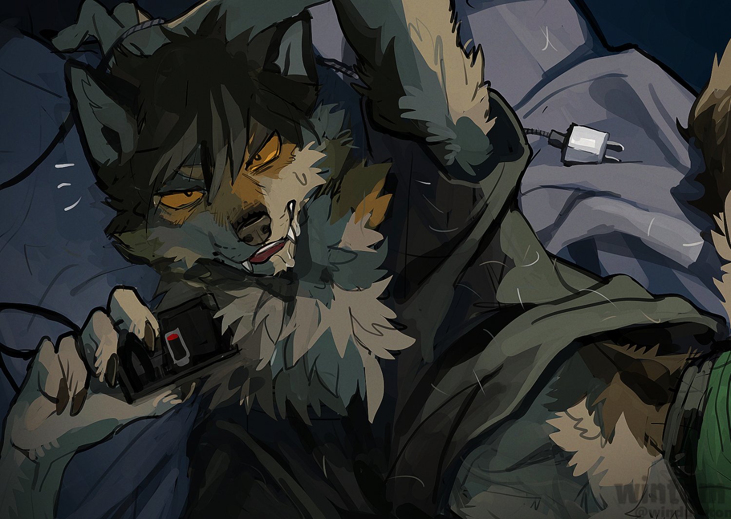wintom's banner