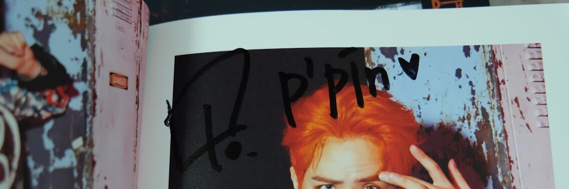 pinsica's profile banner image