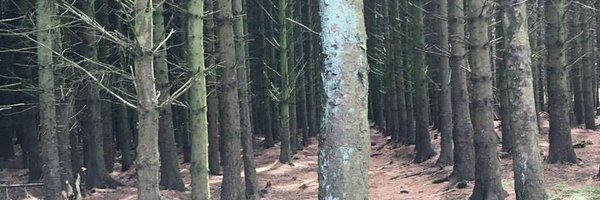 DrWilsonRMPS Profile Banner