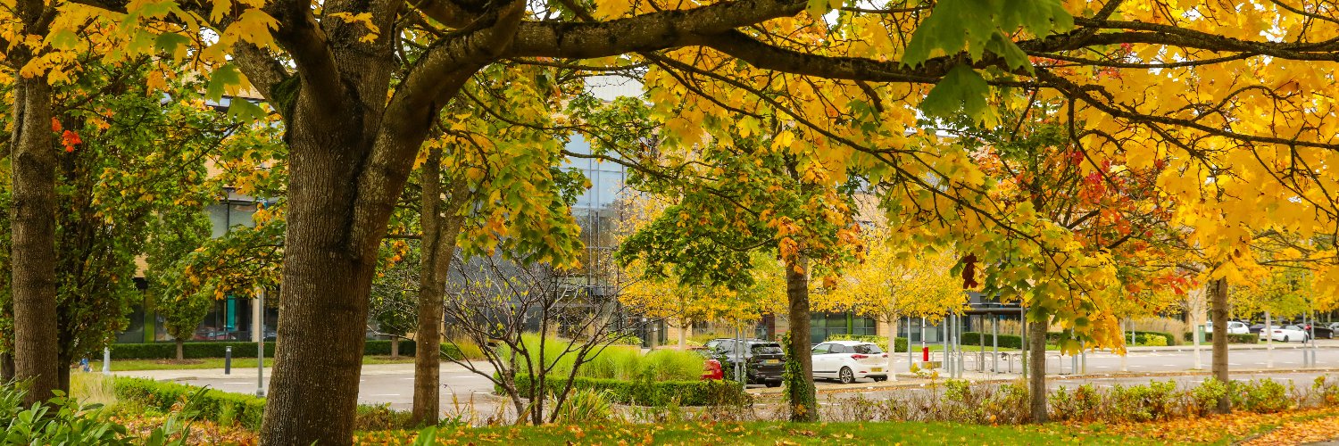 MiltonPark's profile banner image