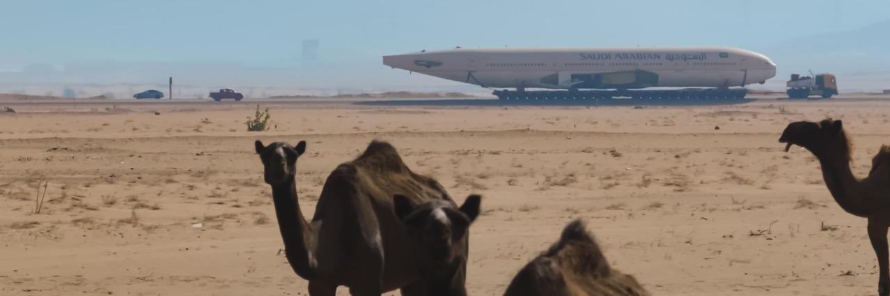 aaleide🕋⛺️🇸🇦🛢️🏝🐪🐎 banner