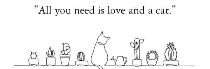 Brenn||nndaa 🦊 banner