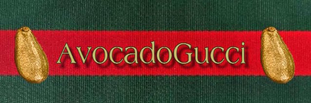 Avocadogucci🌐🇺🇦's banner