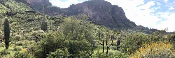 Occitania32 Profile Banner